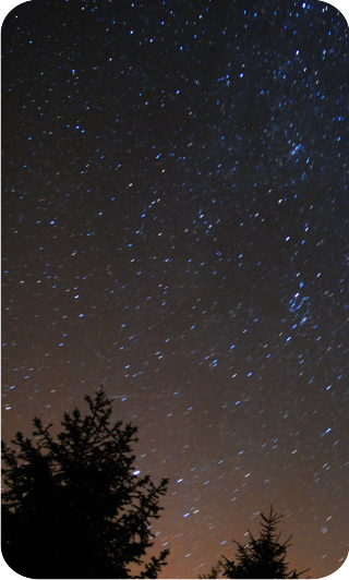 Nocne niebo ze świerkami w Sopotni Wielkiej.